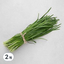 국내산 GAP 부추, 250g, 2개