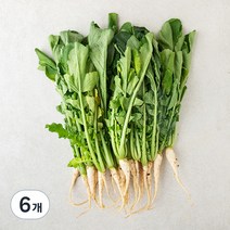 곰곰 열무, 900g, 6개