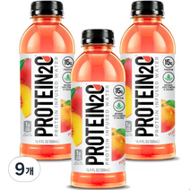 Protein2O 프로틴음료 피치망고, 500ml, 9개
