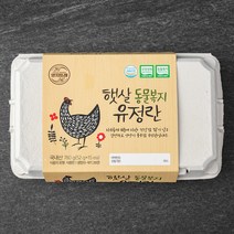 양지뜨레 무항생제 동물복지 유정란 15구, 1개
