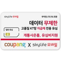 일반유심-KT skylife모바일 유심비지원 사은품 알뜰폰 자급제 LTE/5G 갤럭시/Z플립/아이폰 15 사용가능 kt skylife