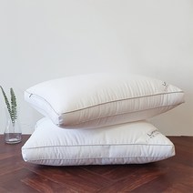 라움 휴비스 두줄 엣지 3D 입체형 다운필 베개솜 2p, 화이트