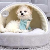 레드퍼피 메이 스토리 동글이하우스, 그레이