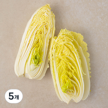 국내산 친환경 쌈용 맛배추, 400g, 5개