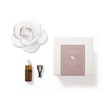 라비다39 리얼장미 대형 플라스터 오너먼트 석고방향제 + 차량용클립 + 리필오일 3ml 세트, 일랑일랑
