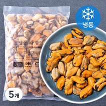 알찬해 자숙 홍합살 (냉동), 500g, 5개