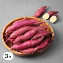 맛있는 꿀고구마 한입사이즈(햇), 1.5kg, 3개