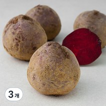 국내산 유기농 비트, 1.5kg, 3개