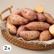 한입 호박고구마(햇), 500g, 2개