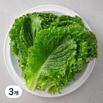 국내산 친환경 청상추, 200g, 3개