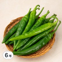 국내산 오이고추, 400g, 6개