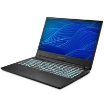 기가바이트 2021 G5 GD Gen11 15.6, 코어i5 11세대, 512GB, 16GB, Free DOS, G5 GD Gen11 i5