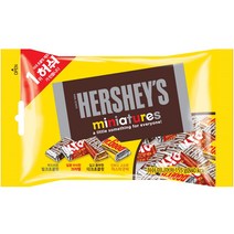 허쉬 미니어처 초콜릿, 155g, 1개