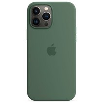 Apple 정품 아이폰 맥세이프 실리콘 케이스