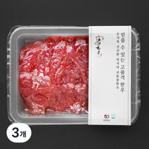 전통참한우 웻에이징 2등급 불고기용 (냉장), 3개, 250g