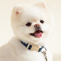 힛찌 초경량 소프트 강아지 목줄, 딥네이비