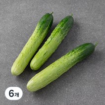 곰곰 국내산 백오이, 3입, 2개
