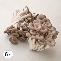 GAP 인증 국내산 맛타리버섯, 300g, 6개