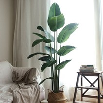 RYMD 조화 그리너리 바나나 나무 화분 중형, 혼합 색상, 1개