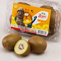 제스프리 제주 골드키위, 600g(8과 내외), 1개
