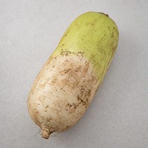 강원도 고랭지 무