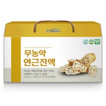 황지네이처 무농약 생연근진액, 30개, 110ml