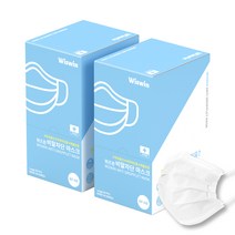 위즈윈 비말차단 개별포장 덴탈마스크 KF-AD 흰색, 50개입, 2개