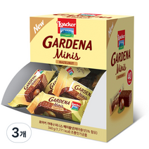 로아커 가데나 디스펜서 헤이즐넛, 340g, 3개