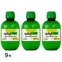 퀵라임 퀵 스퀴즈드 라임즙 1병, 280ml, 9개