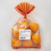곰곰 당도선별 서귀포 천혜향, 1.2kg, 1봉