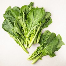 국내산 청갓, 1kg, 1봉