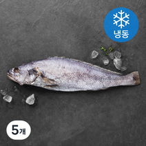 한올레 제주 통민어 (냉동), 5개, 280g