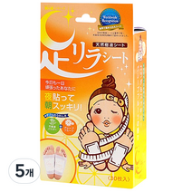 아시리라 그레이프후르츠 풋패치, 30매입, 5개