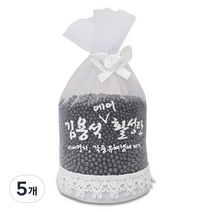 석코리아 김용석 에어활성탄 탈취제 본품, 400g, 5개
