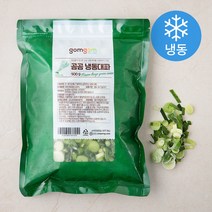 곰곰 냉동 대파, 500g, 1개입