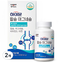 일동후디스 하이뮨 칼슘 마그네슘 144g, 120정, 2개