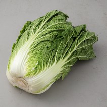 곰곰 국내산 배추, 1통
