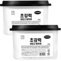 생활공식 제올라이트 초강력 냉장고 탈취제 냉장 냉동 공용, 300g, 2개