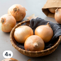 곰곰 국내산 양파, 3kg, 4개