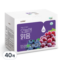 루솔 굿케어 오늘엔 맑음 적포도 블루베리, 40개, 80ml