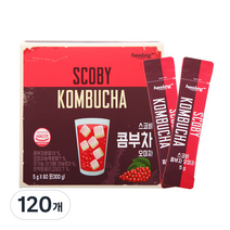 힐링 스코비 콤부차 오미자, 5g, 120개, 120개