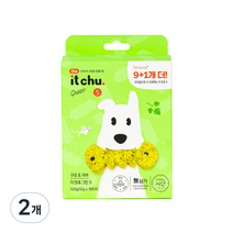 잇츄 그린 S 강아지 덴탈껌 120g, 연어, 2개