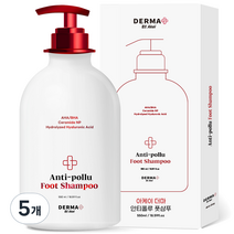 아케이 더마 안티폴루 발각질제거 풋샴푸 550ml, 5개입, 5개