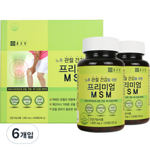 종근당 프리미엄 엠에스엠 MSM, 120정, 120g, 6개입