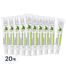 위덴 후레쉬 치약 치아랑, 50g, 20개