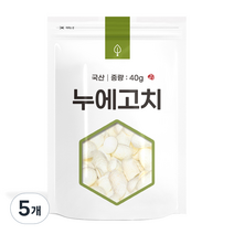자연초 누에고치, 5개, 40g