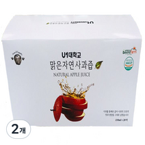 맑은자연 사과즙 20p, 2개, 2200ml