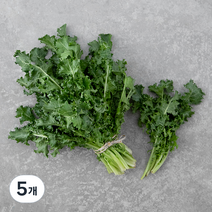 곰곰 국내산 치커리, 150g, 5개