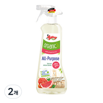 폴리보이 다목적 클리너 주방 욕실 기름때 찌든때 가구 얼룩 세정제, 500ml, 2개