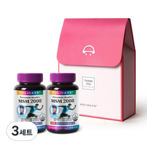 홀리데이즈 관절건강 MSM 2000 120g x 2p, 3세트